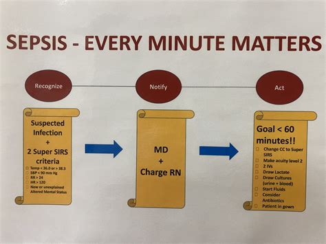 Sepsis Septicemia Bacteremia Medical Terminology