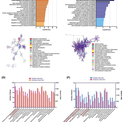 Singlecell Transcriptomic Atlas Of 29 Samples From Normal Lung Early