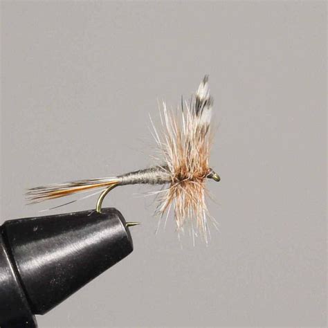 15 Best Flies for Rainbow Trout (with videos to setup) - Guide Recommended