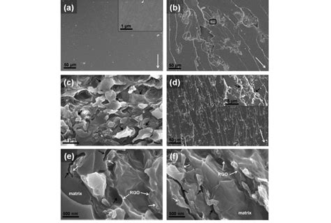 SEM Images Of CT Fracture Surfaces A Neat Epoxy B C And E