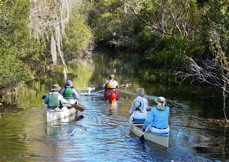 7 incredible sights to see at Big Cypress National Preserve