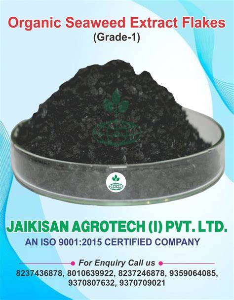 Organic Seaweed Extract Flakes At Rs 340 Kg Flake Seaweed Fertilizer