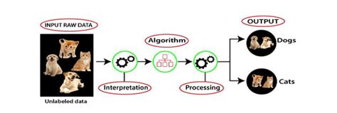 Unsupervised Machine Learning Types Advantages And Disadvantages Of