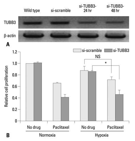 Tubb3 Knockdown Sensitizes Gastric Cancer Cells To Paclitaxel A