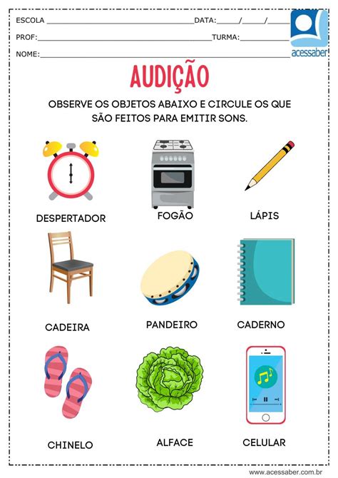 Atividade de ciências O sentido da audição Ed Infantil e 1º ano