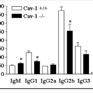 Cav Null Mice Show Altered Basal Levels Of Serum Immunoglobulins