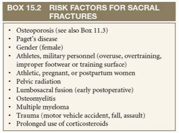 Screening The Sacrum SI And Pelvis Flashcards Quizlet