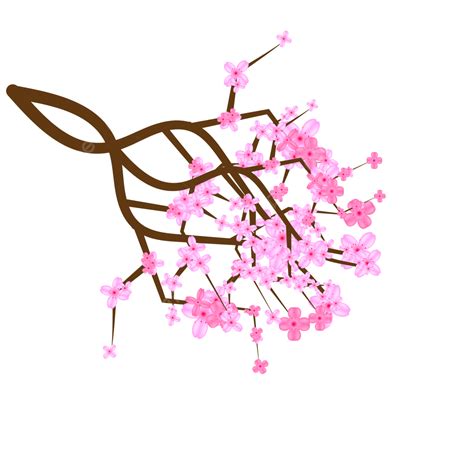 Cherry Blossom Flower Vector PNG Images Realistic Pink Cherry Blossom