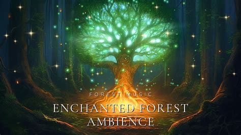 Enchanted Forest Ambience Magical Forest Music Nature Sounds For