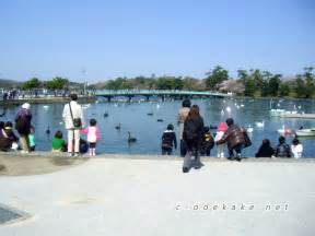 山口宇部「常盤公園」ときわ公園）で一日中楽しもう！遊園地、植物園、動物園、イルミネーションなどのイベントも楽しい。