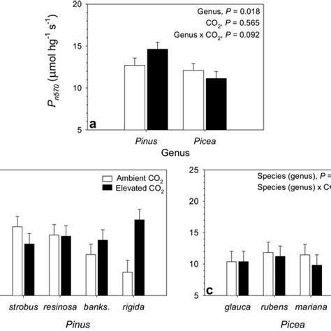 A Net Assimilation Measured At Co2 Concentration Of 570 Ppm A570 By