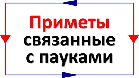 Приметы, связанные с пауками | Паук, Психология