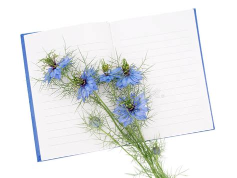 Flores De La Amor En Uno Niebla Del Damascena De Nigella Aka En El