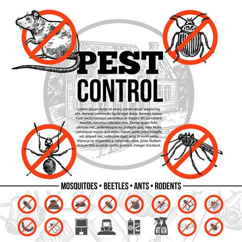 Pest Control Infographics 484601 Vector Art At Vecteezy