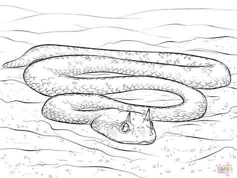 Dibujo De Víbora Cornuda Del Desierto Para Colorear Dibujos Para