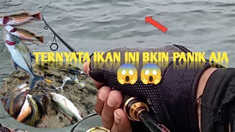 Mancing Casting Di Pulau Ini Banyak Sambaran Youtube