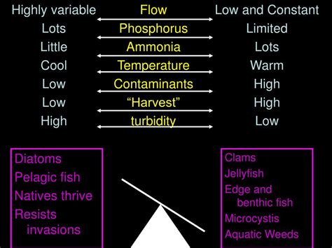 Ppt New Science New Regulations Powerpoint Presentation Free Download Id4110893