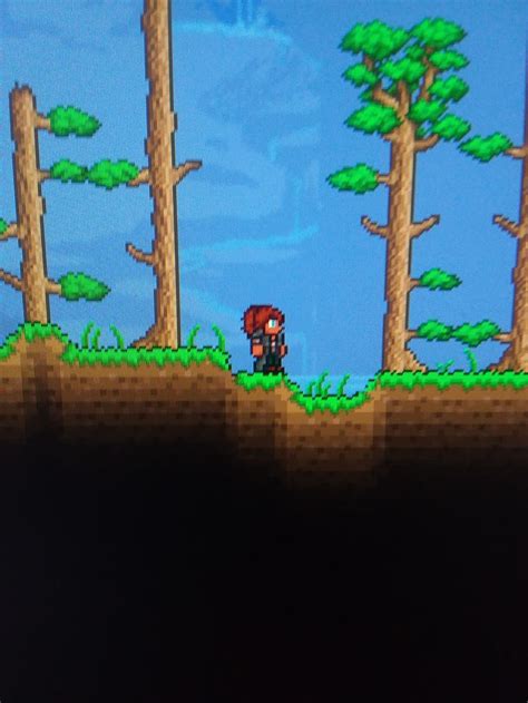 Terraria Character Character Nerd Painting