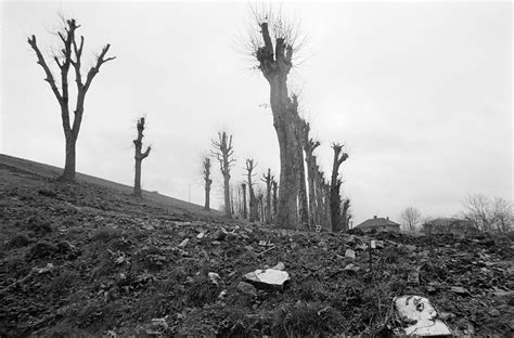 Brockley Footpath Nunhead Southwark 1988 88 12e 66 Edit Flickr