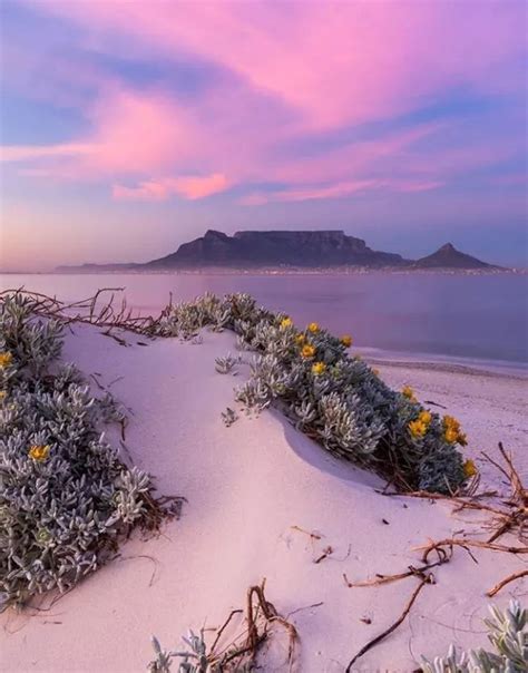 Cape Town, A Walk on Dolphin Beach | Cape town photography, Cape town ...