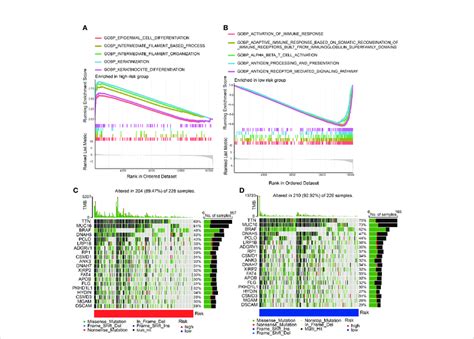 Gsea And Mutation In High And Low Cdigpm Groups A Go Gene Sets