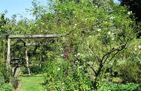 Le Jardin De La Belle Allemande Baronne Samedi