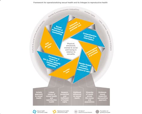 Who Framework For Operationalizing Sexual Health And Its Linkages To