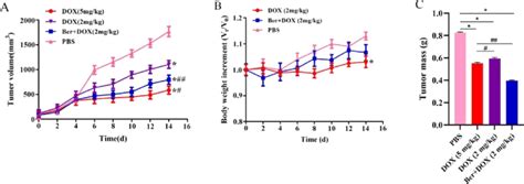 A Tumor Volumes Of MCF 7 DOX Fluc Tumor Bearing Nude Mice Treated