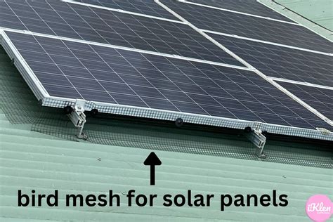 How Does Bird Proofing Solar Panels Work Iklen