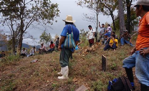 Zoques Chimalapas Delimitar Tierras Chiapas Jpeg Oaxaca