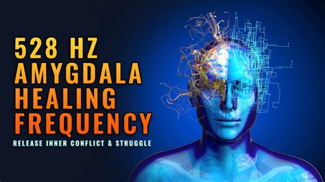 528hz Calm Your Amygdala Alpha Waves Release Inner Conflict