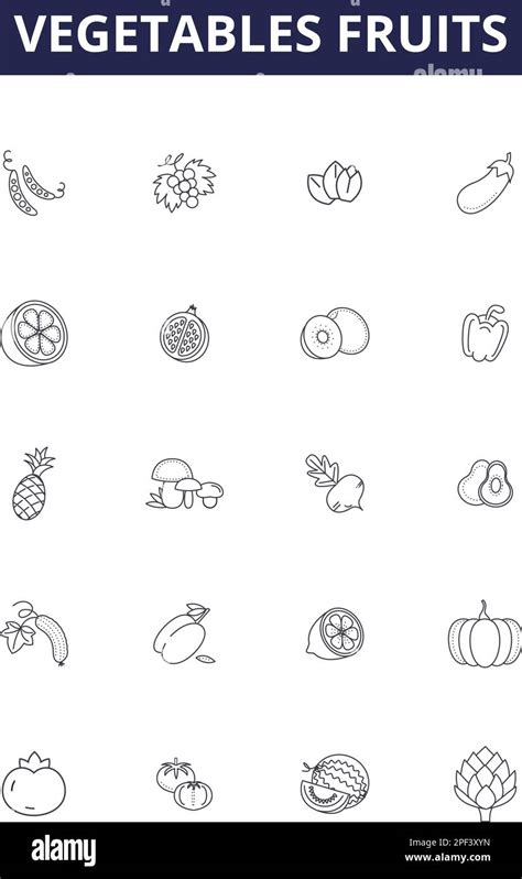 Vegetables Fruits Line Vector Icons And Signs Onion Carrot Potato