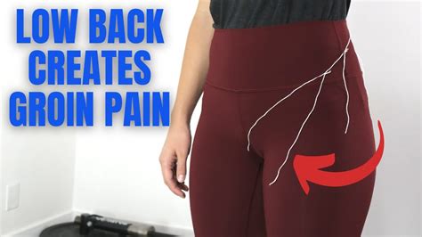 Can Low Back Pain Cause Groin Pain Yes Heres How Updated 2023