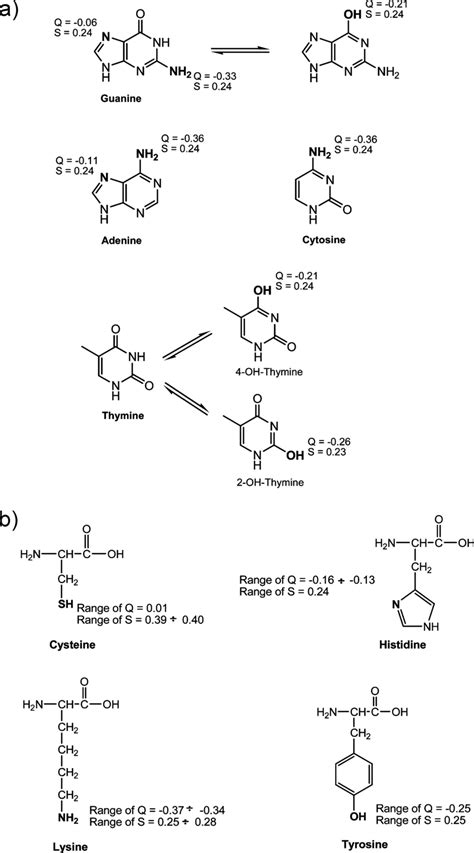 Representative Nucleophiles That Are Relevant For Dna A And Protein Download Scientific