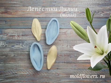 силиконовые формы. {молды и вайнеры для фоамирана}{moldflowers.ru ...