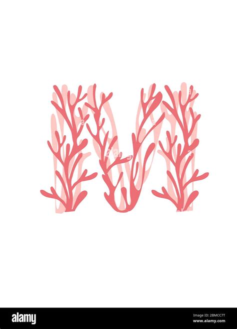 Letter M Pink Colored Seaweeds Underwater Ocean Plant Sea Coral