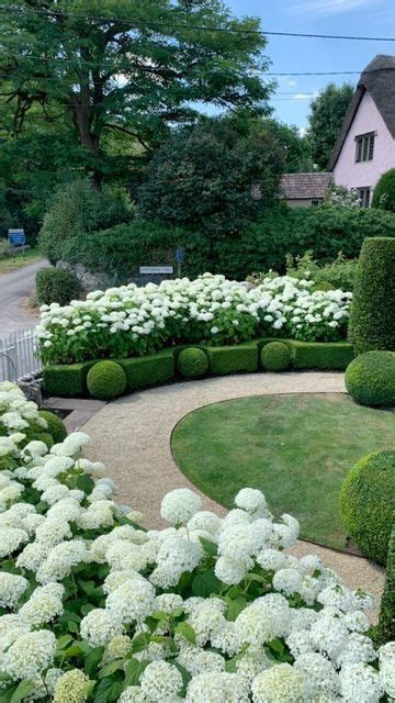 Hydrangeas Topiary And Boxwood In The Modern Country Garden Artofit