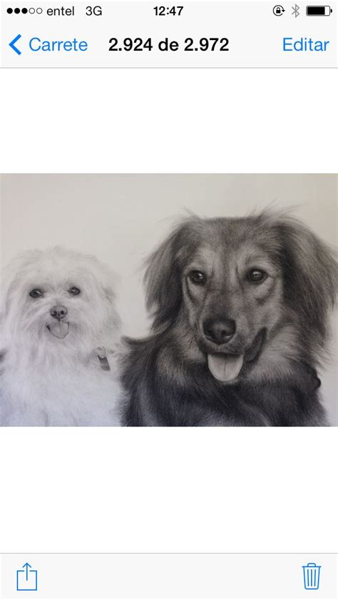 Dibujo a lapiz Perros | Perros, Dibujos, Dibujos geniales