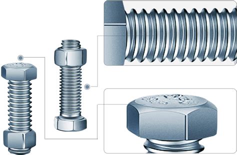 Auger Shear Pins Bolts and Nuts Steel Metal Bolts Nuts Compatible with ...