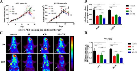 Combination Therapy Inhibited Tumor Growth In The Kras Mutant Nsclc