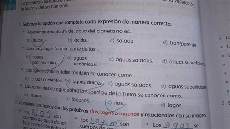 Subraya La Opción Que Completa Cada Expresión De Manera Correcta