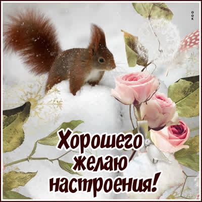 Картинки Хорошего Настроения