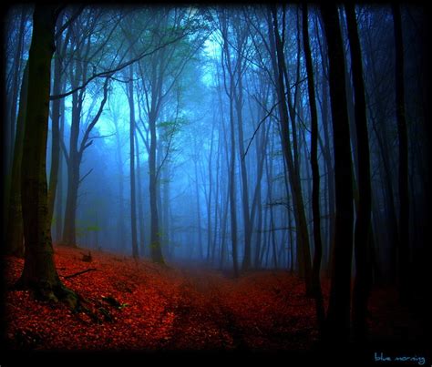 Storybook Photography 