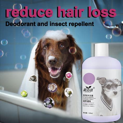 What Dog Shampoo Is Best For Mange