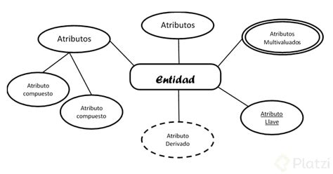 Qu Son Entidades Y Atributos Platzi