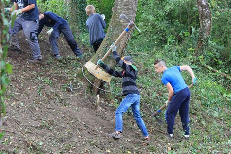 Verein Grünwerk Naturschutzeinsatz Klimaschule