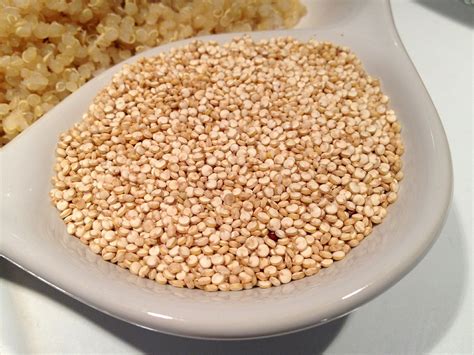 Quinoa Conoce Sus Propiedades Beneficios Y Contraindicaciones Sala