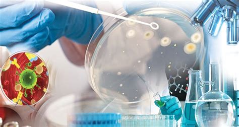 Department of Microbiology - University of Jhang 