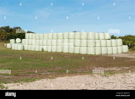 Stacked Hay Bales Wrapped In Plastic Stock Photo Alamy