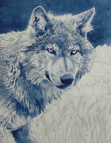 Alan Hawley Illustration Wolf Acrylic Painting